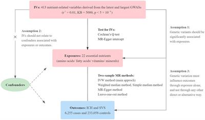 Essential nutrients and cerebral small vessel diseases: a two-sample Mendelian randomization study